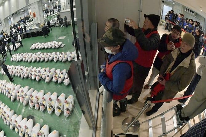 Tokyo Tsukiji Food & Culture 4hr Private Tour With Licensed Guide - Customer Reviews and Experiences