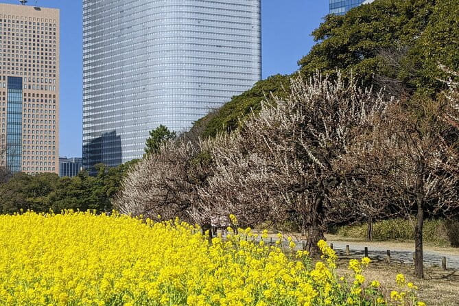Tokyo Tsukiji & Hamarikyu Gardens Wellness Tour – Walk and Relax - Accessibility Features for All Travelers