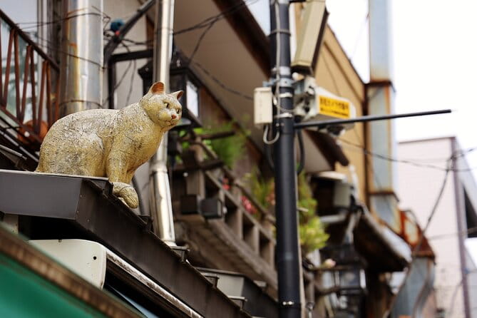 Tokyo Walking Tour of Historic Shopping Streets Yanaka - What to Expect on the Tour