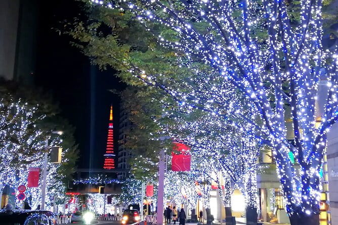 Tokyo Winter Illumination Ebike Tour - Meeting Point and Accessibility