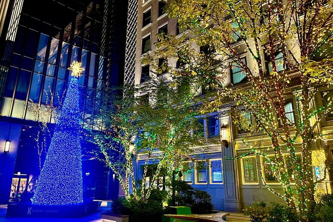 Tokyo Winter Illumination Ebike Tour - Booking and Pricing Information