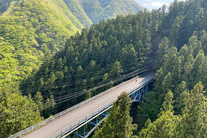 Tokyos Hidden Nature Cycling Tour - Okutama Historical Road Tour - Tour Inclusions and Participant Requirements