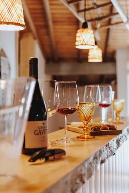 Tomar: Learn About Winemaking with a Tasting - A Brief Introduction to the Experience