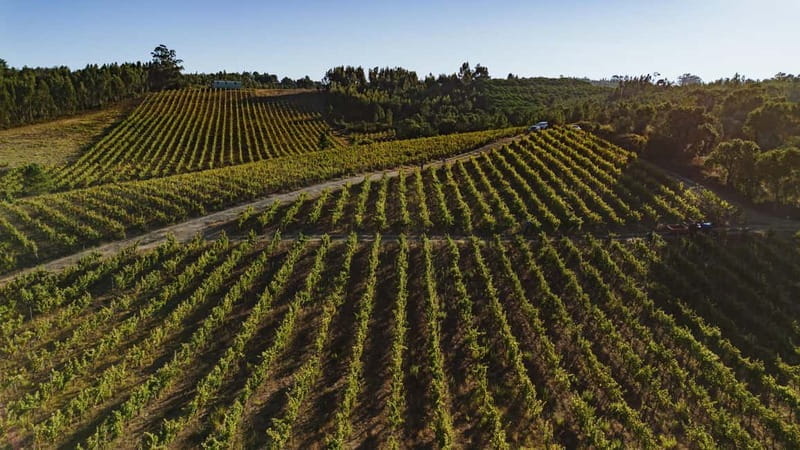 Tomar: Wine Picnic for Two - Key points / Takeaways