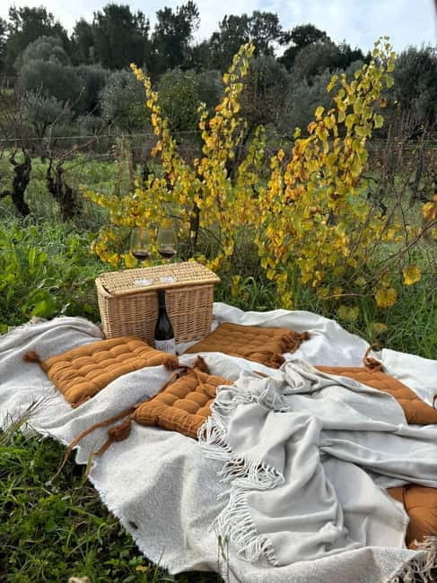 Tomar: Wine Picnic for Two - Setting the Scene: An Authentic Vineyard Escape