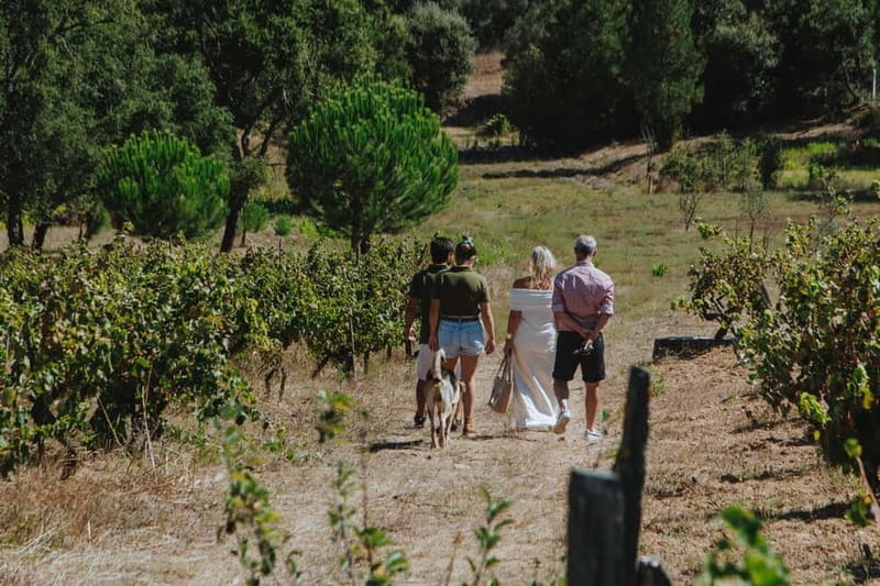 Tomar: Wine Tasting with Vinotherapy - Exploring the Vineyards and the Winemaking Process