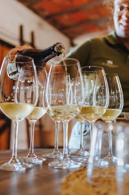 Tomar: Wine Tasting with Vinotherapy - Tasting Five Regional Wines with Local Pairings