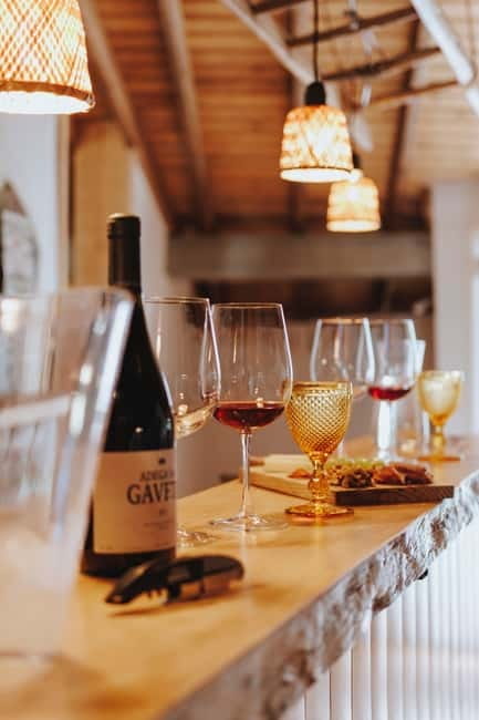 Tomar: Wine Tasting with Vinotherapy - Logistics, Price, and Overall Value