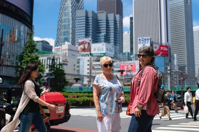 Top 10 Tokyo Highlights & Hidden Gems: Private Custom Tour - Accessibility and Inclusivity