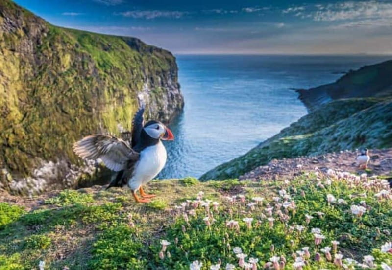 Top Of The Highlands Tour: John O' Groats, Caithness & More - Tour Logistics: What to Expect