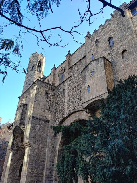 Top Tours Barcelona - Walking Tour of Ancient Barcelona - Tour Features