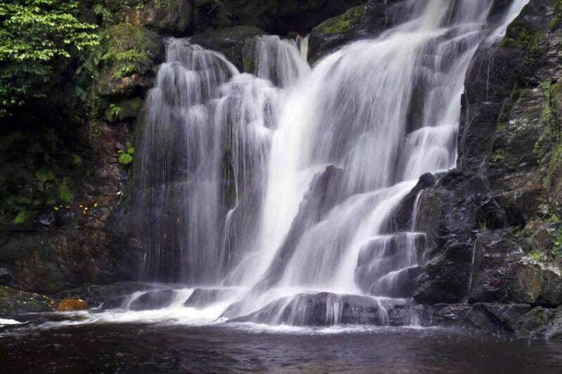Torc waterfall & mountain hike. Kerry. Private guided. - What To Expect and Practical Tips
