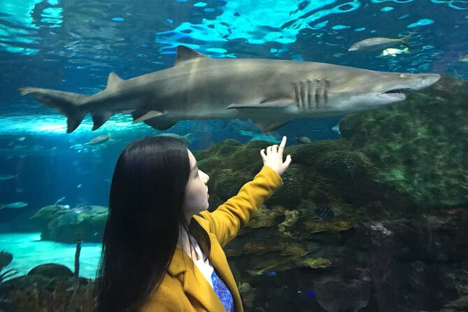 Toronto & Niagara Falls 3 Days Tour - Pricing