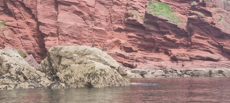 Torquay: Canoe Rental - Key points / Takeaways