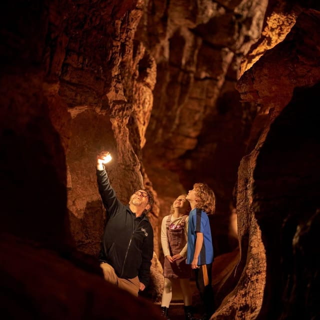 Torquay: Kents Cavern Prehistoric Cave - A Hands-On Adventure: Gemstone Digging and Woodland Trail