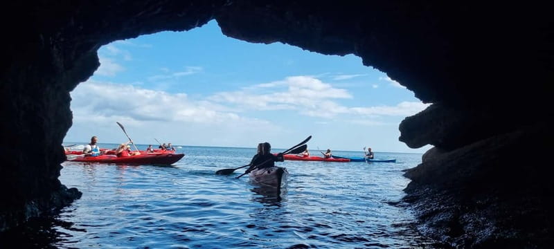 Torquay: Wildlife, Bushcraft and Sea Cave Kayak Safari - Meeting Point and Logistics