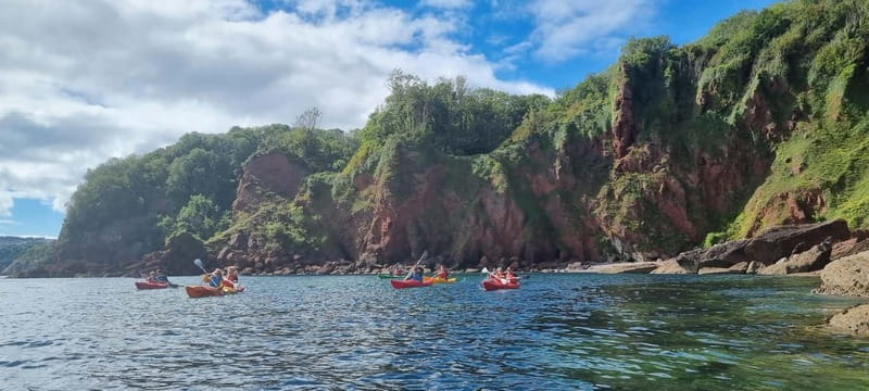 Torquay: Wildlife, Bushcraft and Sea Cave Kayak Safari - The Sum Up: Who Is This Tour Best For?