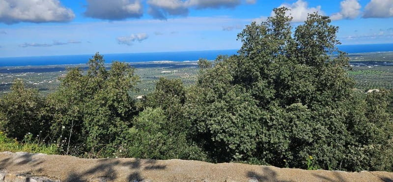 Torre Canne: E-Bike Ride by the Sea with Octopus Sandwich - Price and Logistics: Is It Worth It?