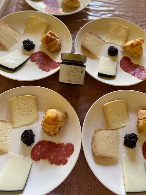 Torre Raone: the tradition of the vineyards - Key Points / Takeaways