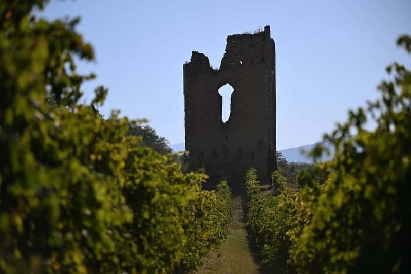Torre Raone: the tradition of the vineyards - Logistics and Practical Tips