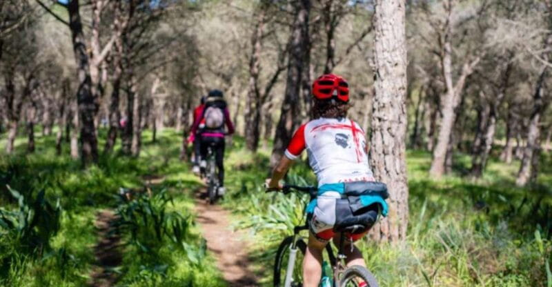 Torregrande marina bike tour - Key points / Takeaways