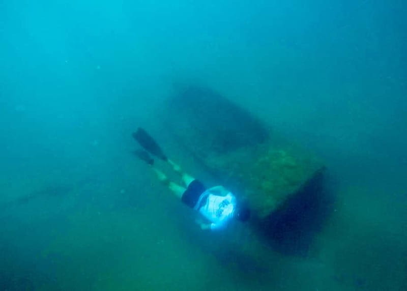 Torremolinos/Benalmadena: Private Boat Tour - Key points/Takeaways