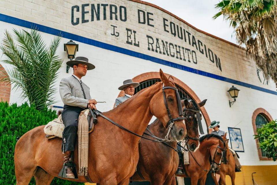 Torremolinos: Horse Show, Dinner Option, Drinks, & Flamenco - Key Points