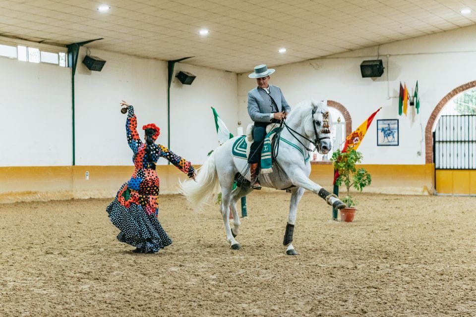 Torremolinos: Horse Show, Dinner Option, Drinks, & Flamenco - Experience Highlights
