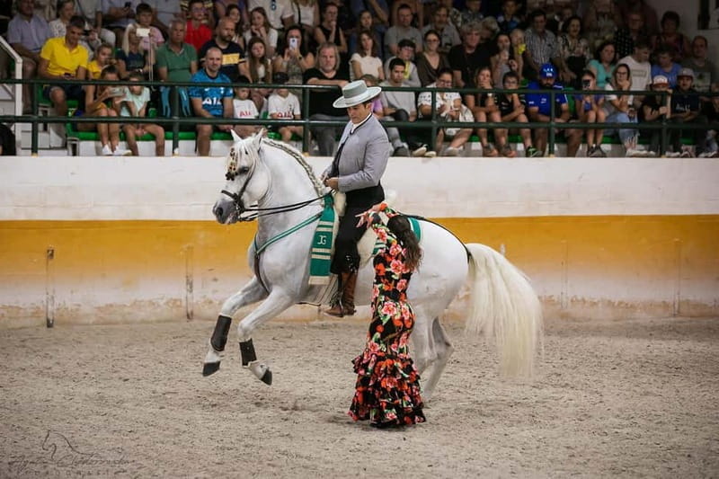 Torremolinos: Spanish horse show and flamenco with dinner option - Key points / Takeaways