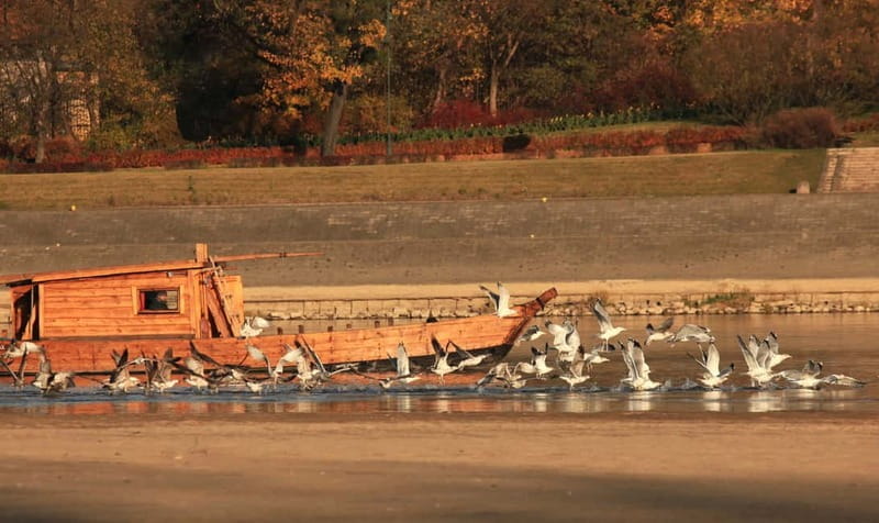 Toru: Sightseeing Cruises on the Vistula River - Key points / Takeaways