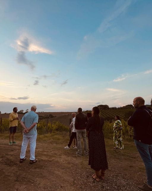 TOSCANA -Guided Tour, Wine Tasting, and Local/Syrian Bites - Entering the Heart of Tuscany’s Vineyards