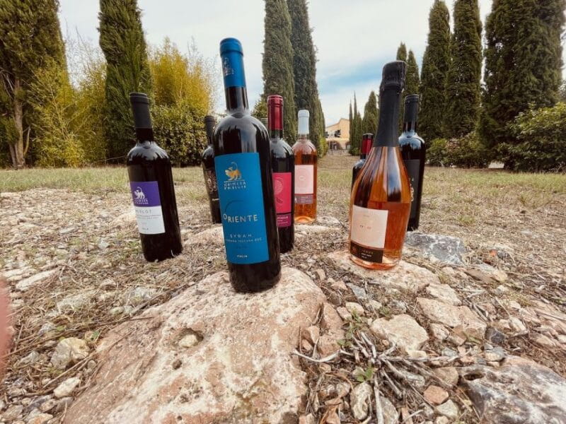 TOSCANA -Guided Tour, Wine Tasting, and Local/Syrian Bites - FAQ