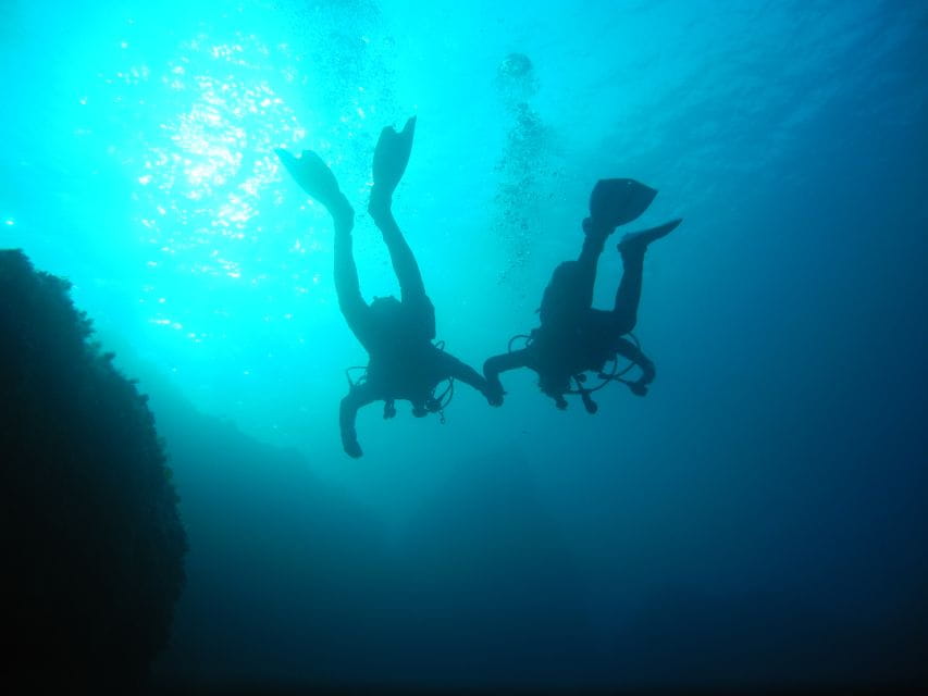 Tossa De Mar: Mar Menuda Dive Trip for Certified Divers - Key Points