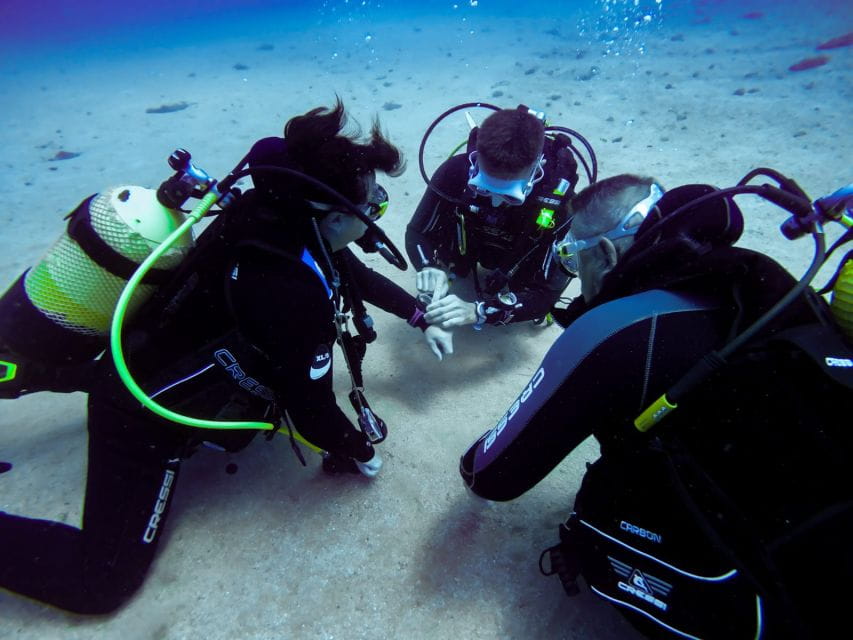 Tossa De Mar: Scuba Diving Experience for Beginners - Things To Know