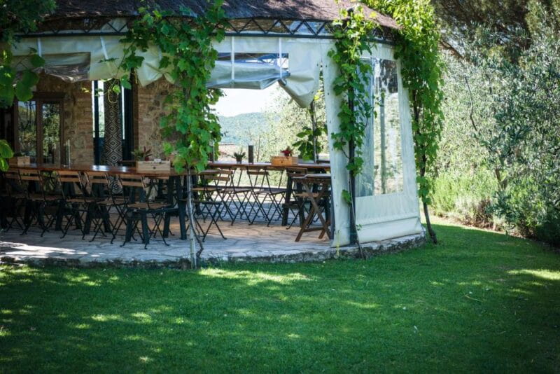 Total Immersion Experience Italian version - Entering Tuscany’s Hidden Gem: The Montemaggio Winery