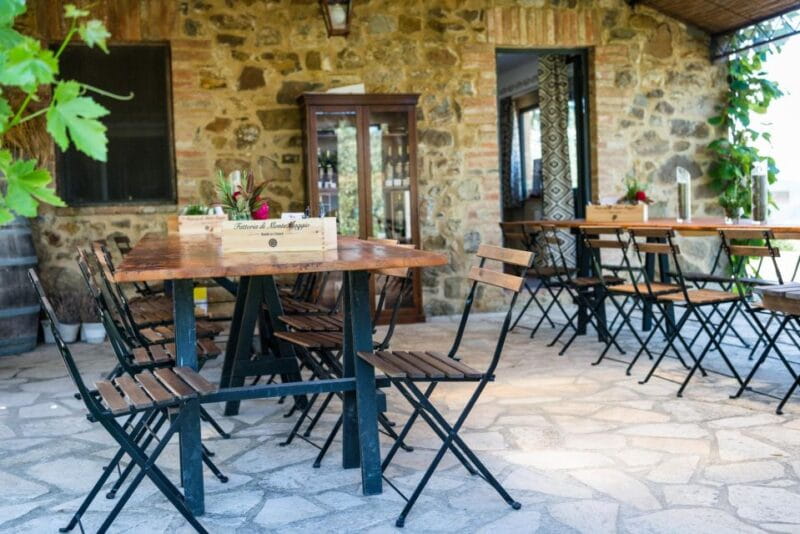 Total Immersion Experience Italian version - The Educational Tour: A Peek Behind the Barrels