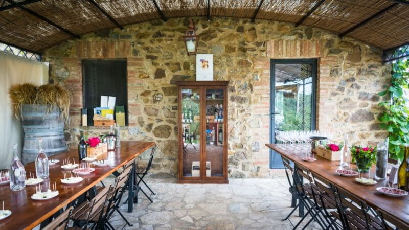 Total Immersion Wine Tour in Chianti - The Sum Up