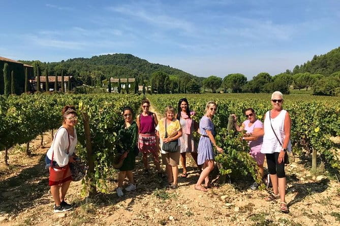 Toulon private Shore Excursion: A taste of Provence - Key points / Takeaways