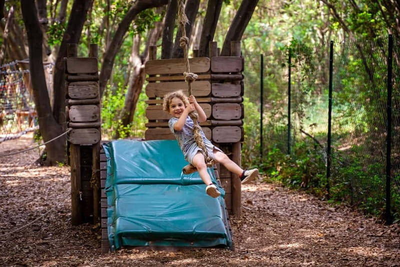 Toulon: Tree climbing course - Who Will Love This Experience?