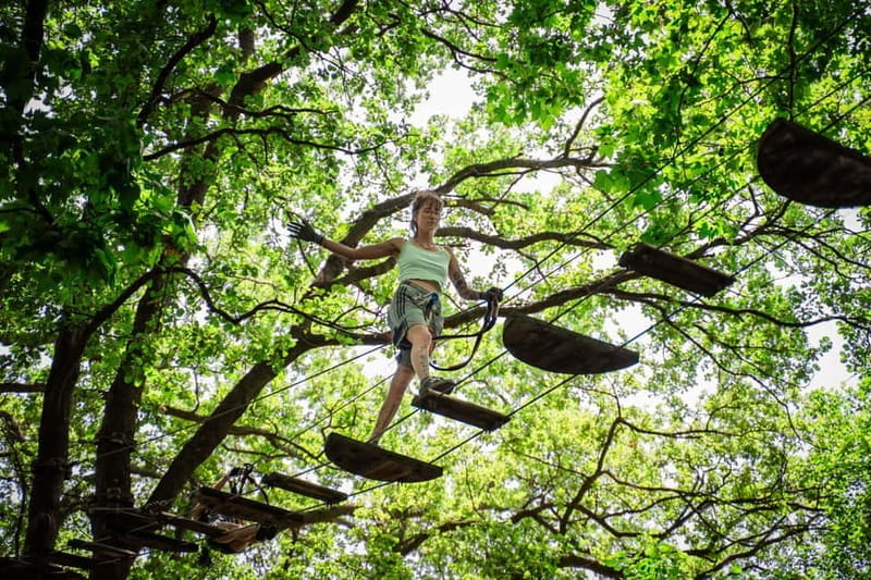 Toulon: Tree climbing course - Price and Logistics