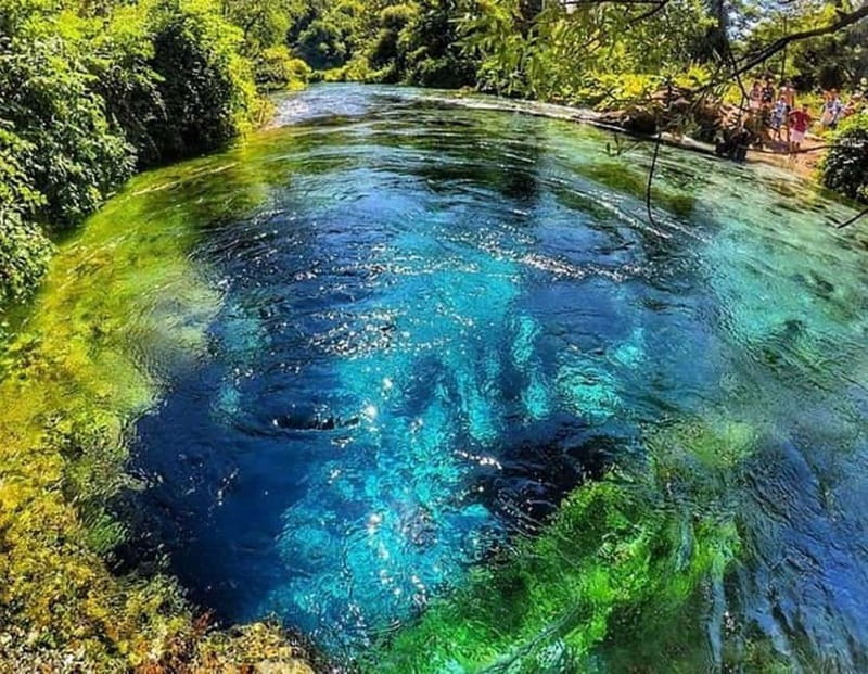 Tour and guide Blue Eye  Butrint - Practicalities and Logistics: Smooth, Well-Organized, and Inclusive