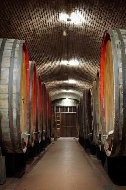 Tour and tasting at Casalbosco estate - FAQ