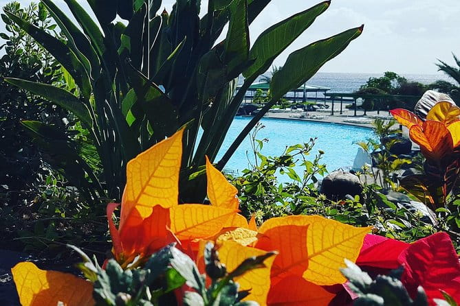 Tour Around the Island - Private VIP Tour in Tenerife - Frequently Asked Questions