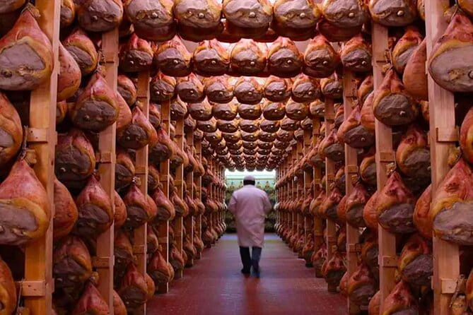 Tour at a Parma Ham Producer - Exploring the Charm of a Parma Ham Producer Experience