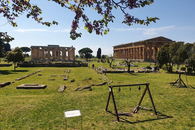 Tour at the Temples and the National Museum of Paestum - Highlights of the Tour
