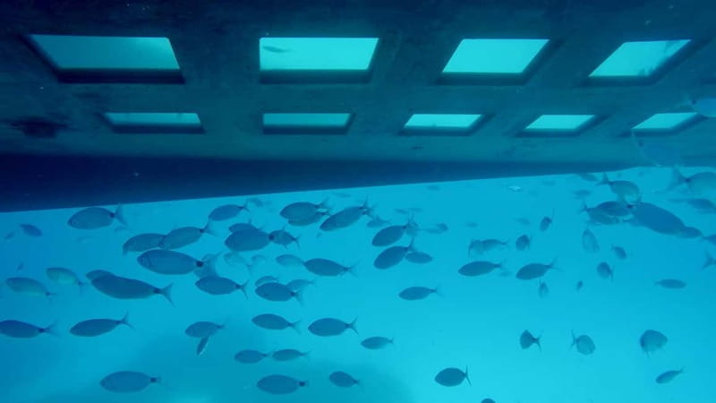 Tour bateau avec vision sous-marine/Sites classés+Baignade - Exploring Corsica’s Marine Treasures with a Glass-Bottom Boat Tour