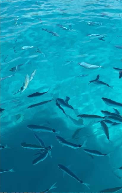 Tour "Coast of the Gods" by Boat - Discovering the Coastal Gems of Sicily