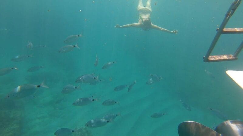Tour da Avola A Portopalo con sosta e visita a Marzamemi - A Scenic Day on the Sicilian Sea: A Review of the Avola to Portopalo Boat Tour