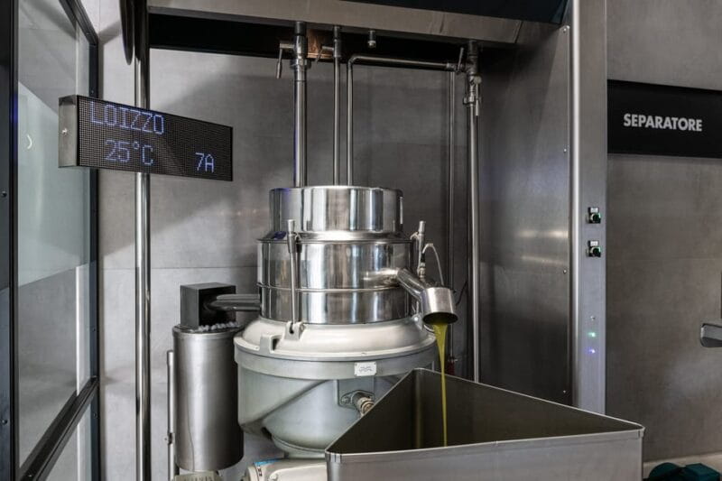 Tour del Frantoio Perniola con Degustazione di Olio EVO - Key points / Takeaways