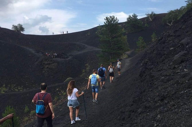 Tour Etna & Wine Tasting Private - Key Points / Takeaways